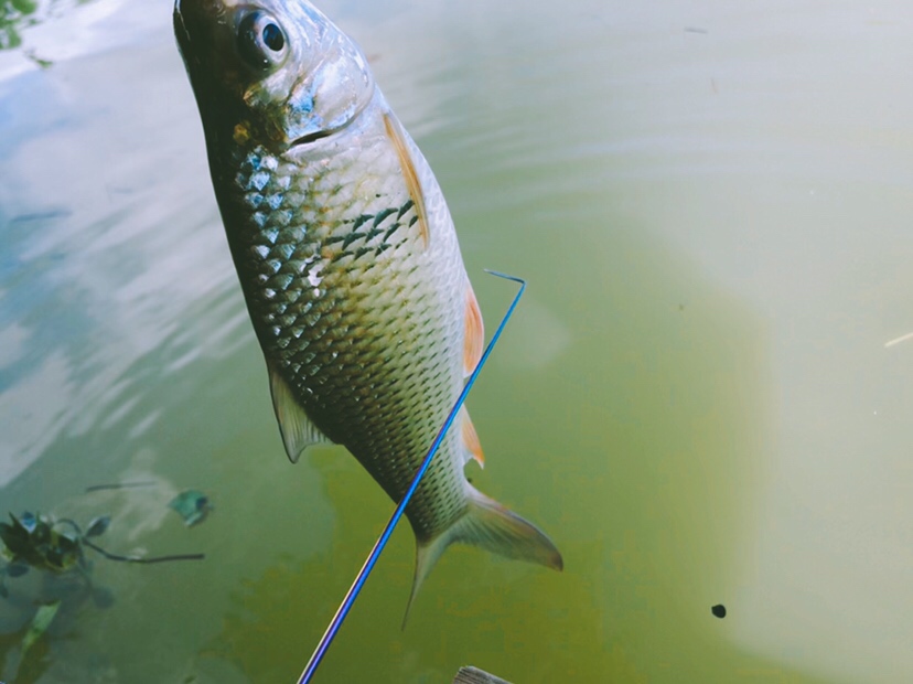 钓鱼装备全套小型鱼竿推荐,私人订制鱼竿路亚