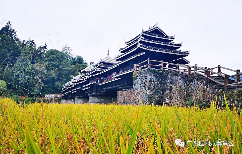 柳州三江南攻略,柳州三江五一有什么好玩的