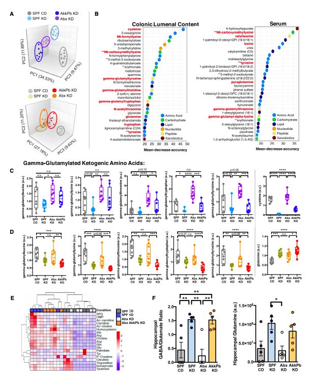 akk益生菌有什么功效,万能益生菌效果怎么样