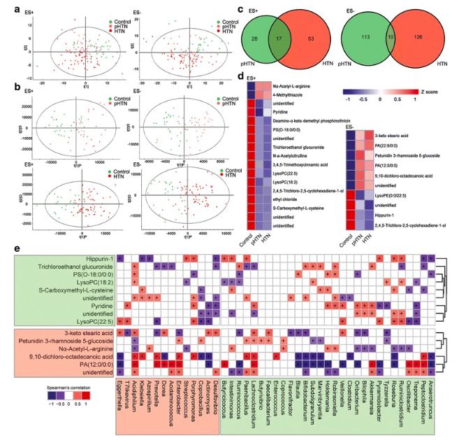 akk益生菌,益生菌akk瘦子菌推荐