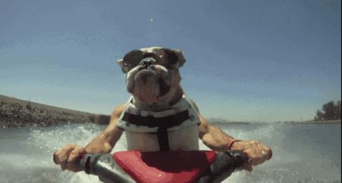 太刺激了！达州人一定要来这里一趟...