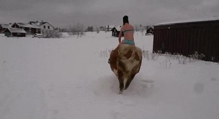 世界迷惑行为大赏解说,世界洗浴