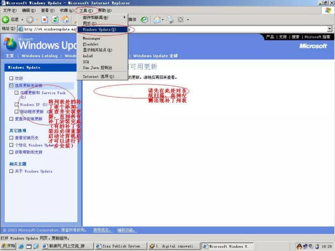 病毒中的“钉子户”——冲击波丨专栏