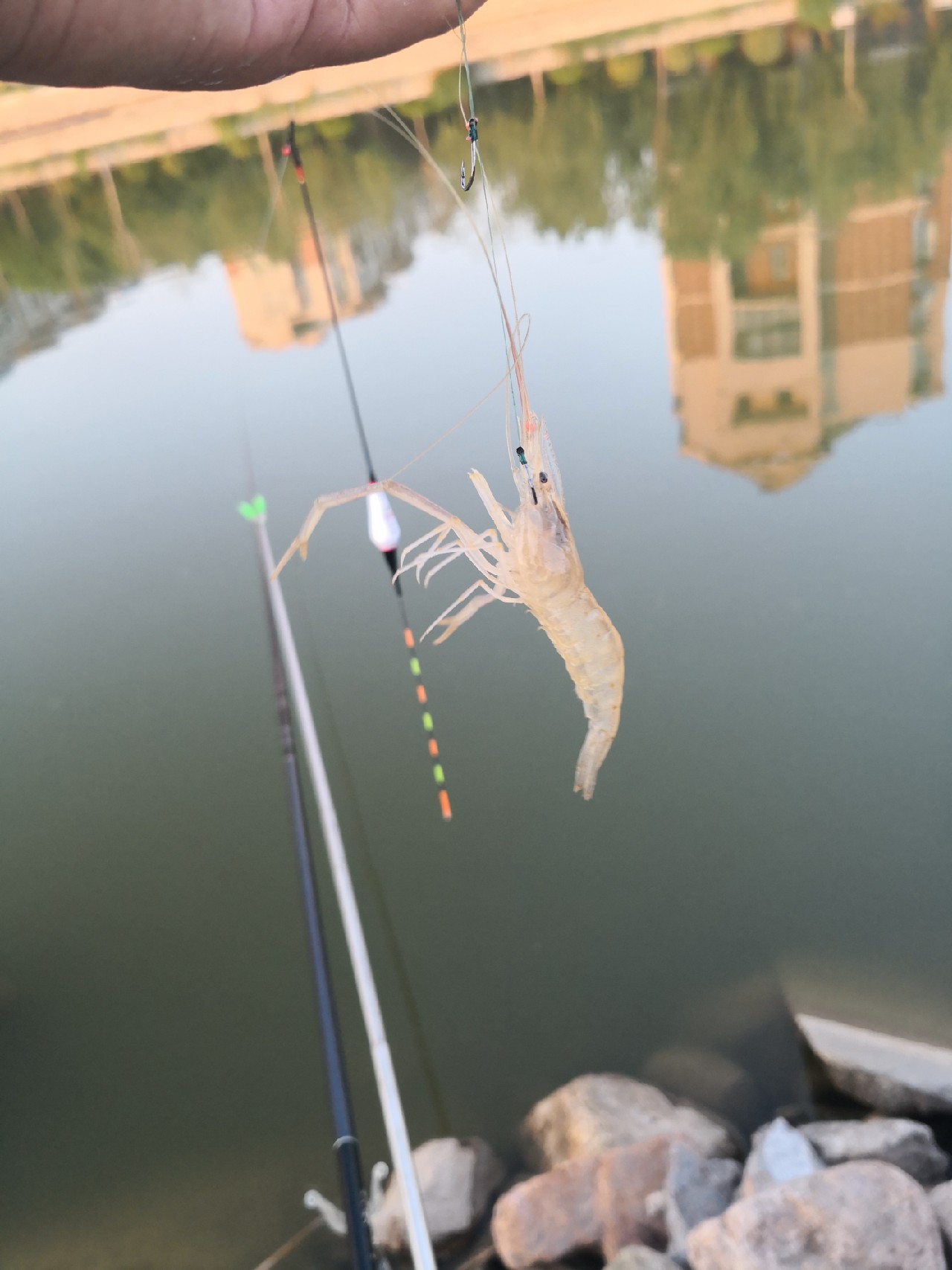 夜钓约会,夜钓男人的浪漫
