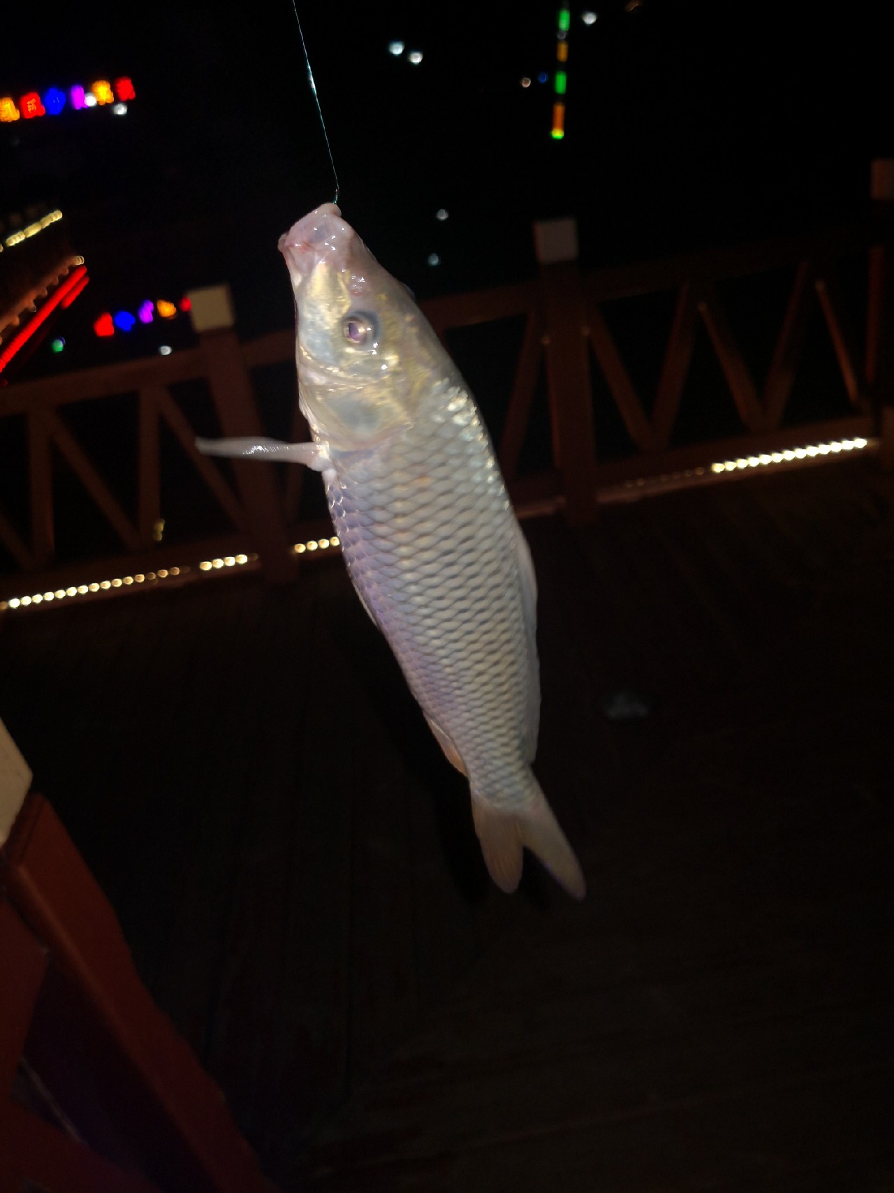 夜钓约会,夜钓男人的浪漫