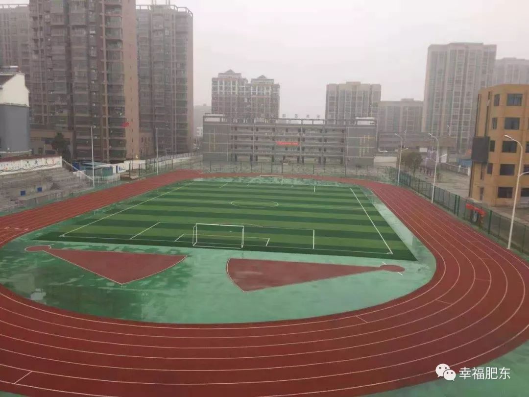 超赞！咱肥东这所学校登上“学习强国”！原因是……