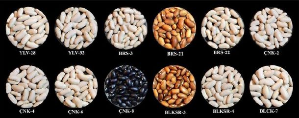 昔日女神负面消息缠身险过气,转手做生意却搞得风生水起