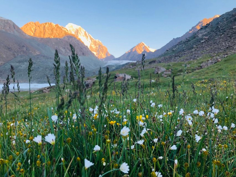 雪峰冰川雪莲草甸十分的激动八分憾——2019年7月环博格达纪实
