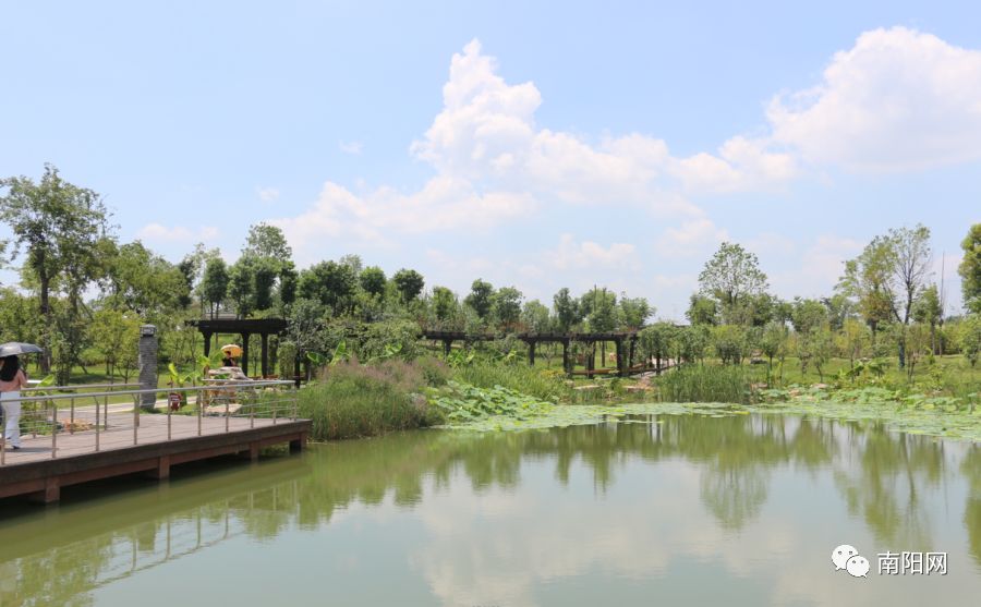 南阳腾飞,南阳飞速发展视频