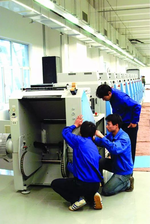 体彩十二,体彩十二生肖六加一