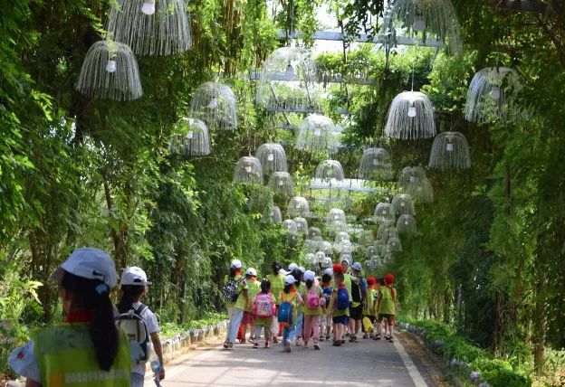 高质量暑假研学夏令营,临空港夏令营好玩吗