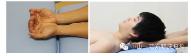 康复治疗技术人体解剖学,12条筋膜链解析及治疗手法