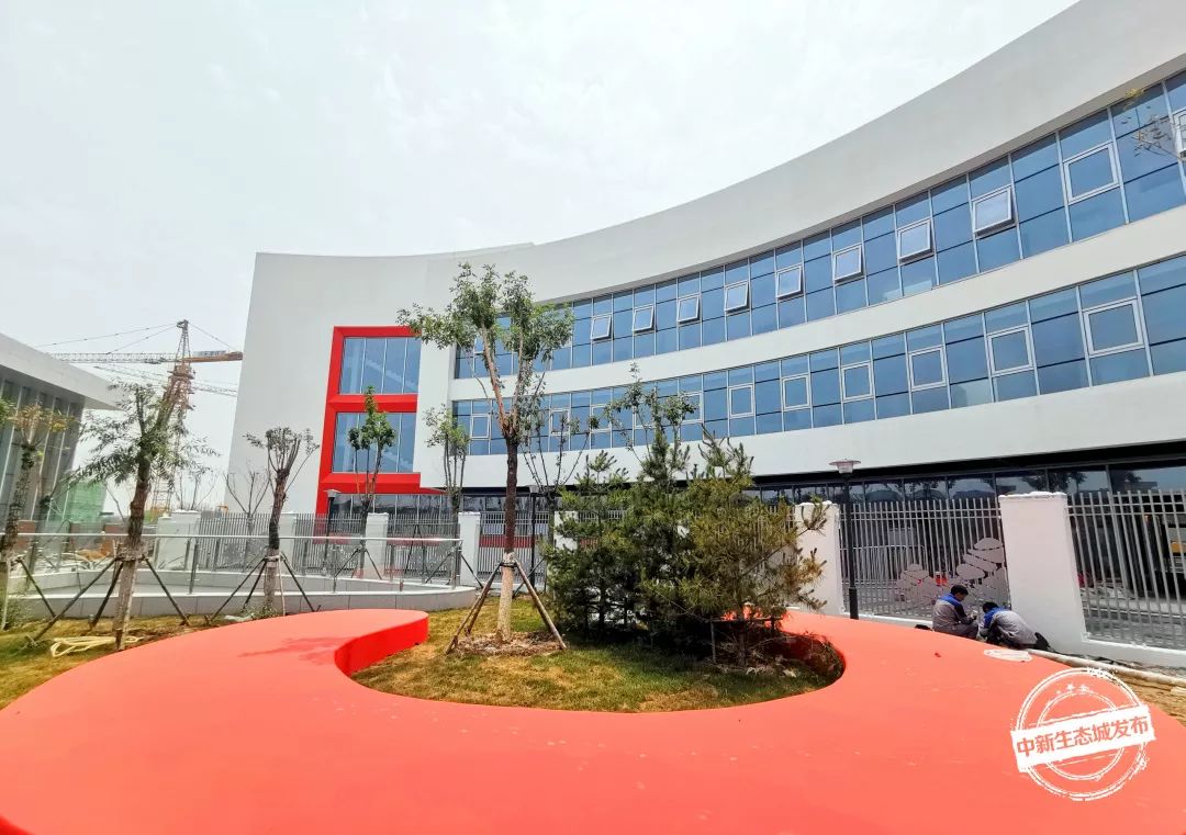 滨海新区星级幼儿园,滨海新区最好的幼儿园