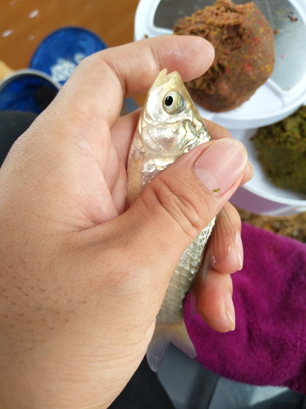 一不小心成坑冠，奈何狂拉还是败给网工...