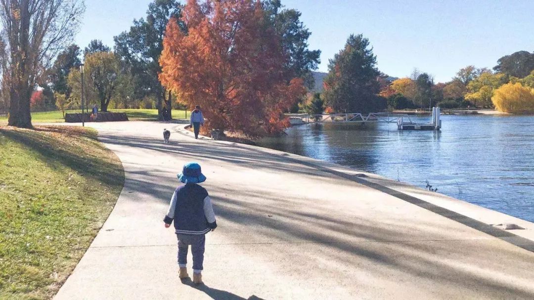 中国式育儿和美国式育儿的区别,中国和西方育儿区别是什么