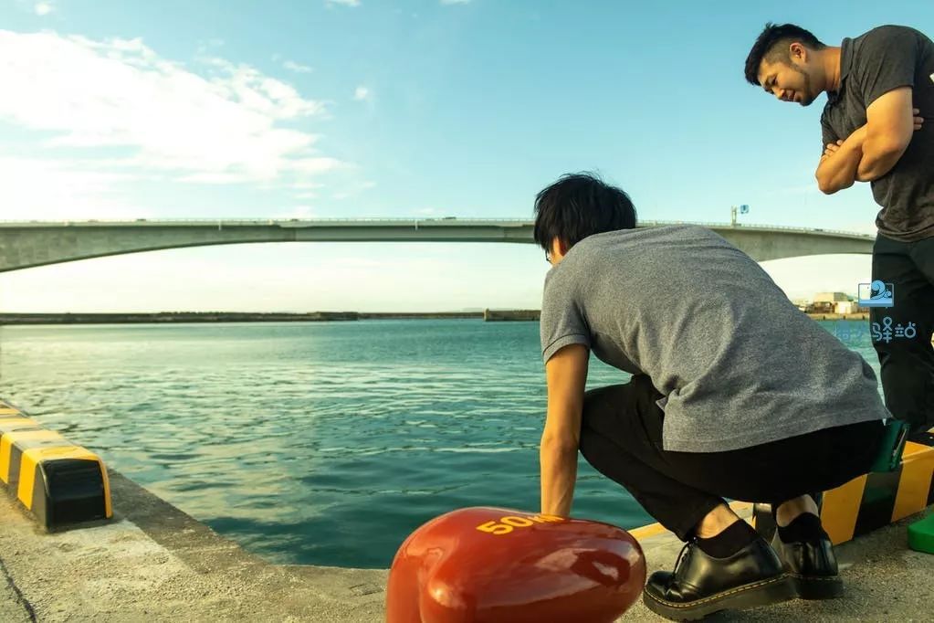 2019年我大学毕业后在日本开个海水店