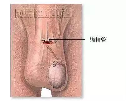 亲爱的常识,亲爱的小知识