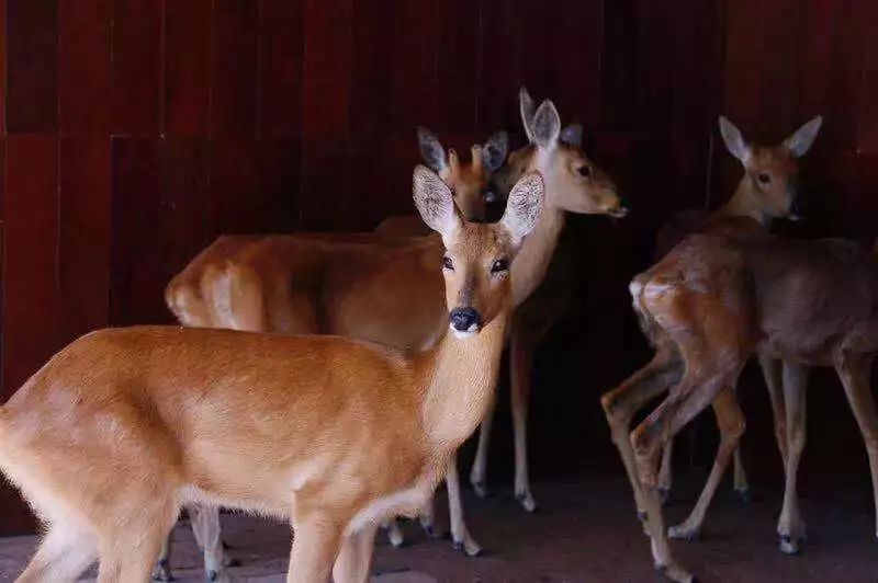 立秋宜下雨还是天晴,这是立秋后最凉快的一天