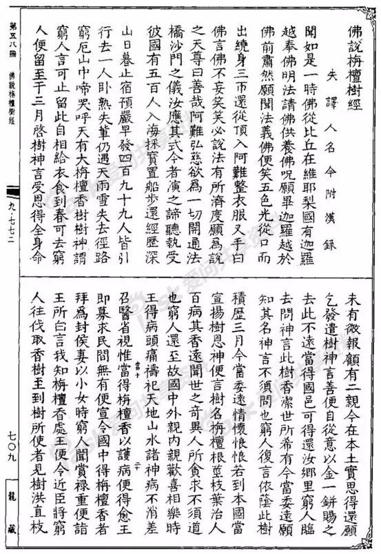 浼犲绱獉,浼犲绱獉鐪熷亣