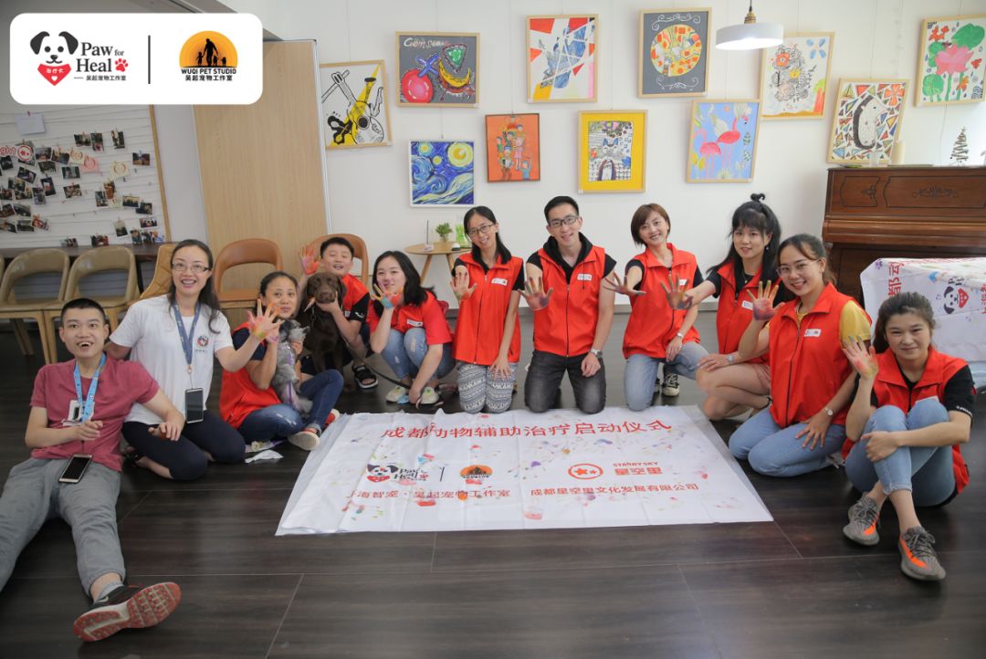 用生命影响生命朗诵央视,用生命影响生命手语朗诵