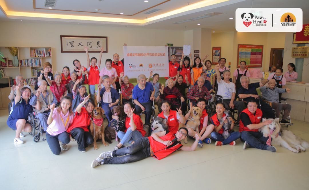 用生命影响生命朗诵央视,用生命影响生命手语朗诵