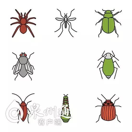 当心有毒虫,毒虫出没一晚上4人被咬紧急送医