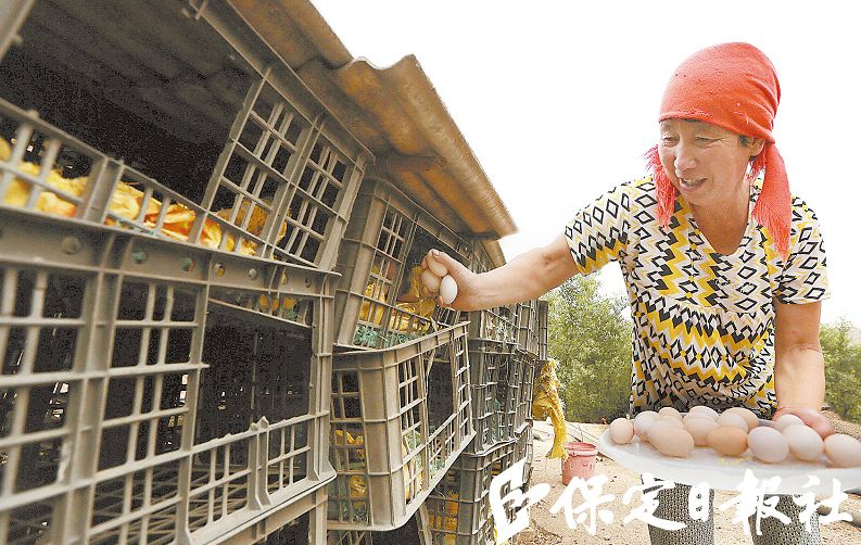 上下跑村,上下跑村的视频