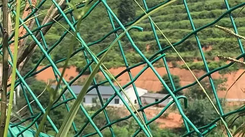 月饼厂老板被抓怎么回事,月饼老板被抓新闻