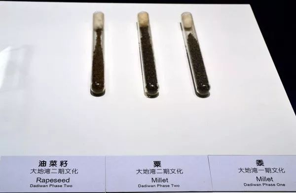 为什么天水不是蓝色,天水为什么不属于甘肃