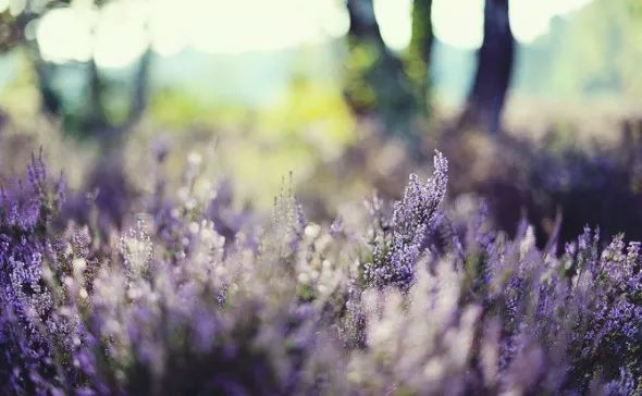 尼康d700拍照讲解,从小木匠到大画家