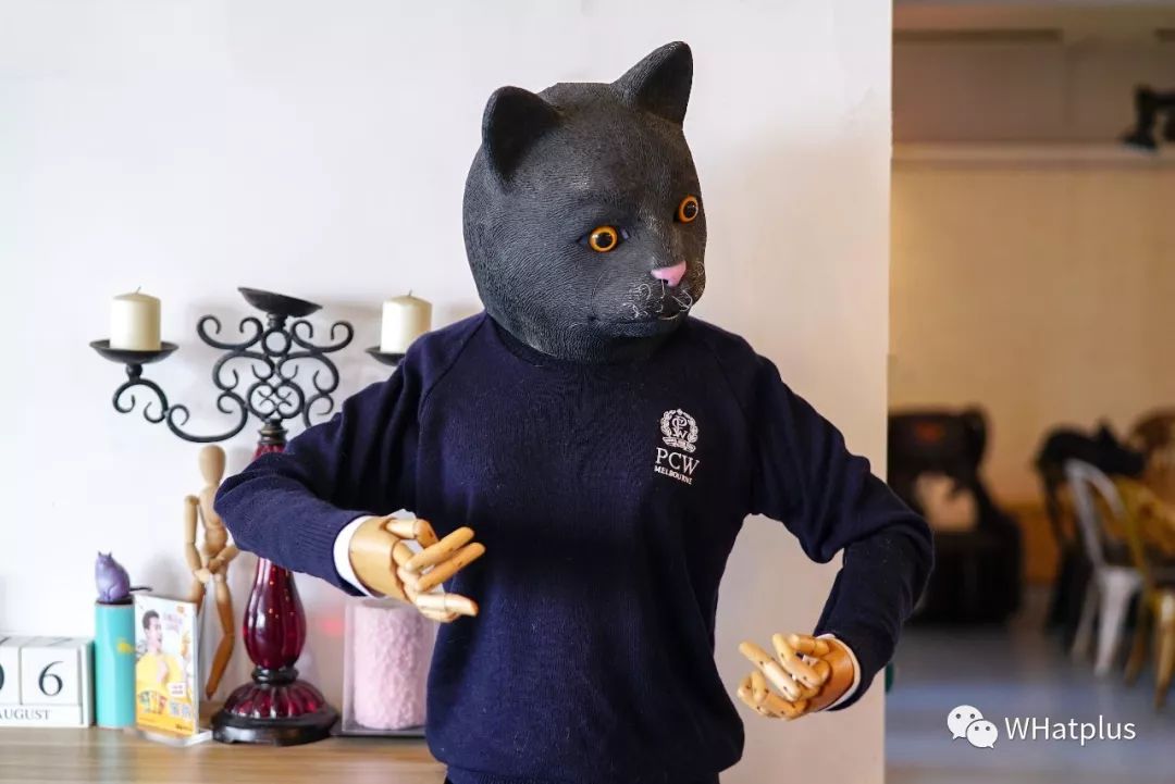 5家猫咖店200只猫，这对夫妻治愈无数武汉人