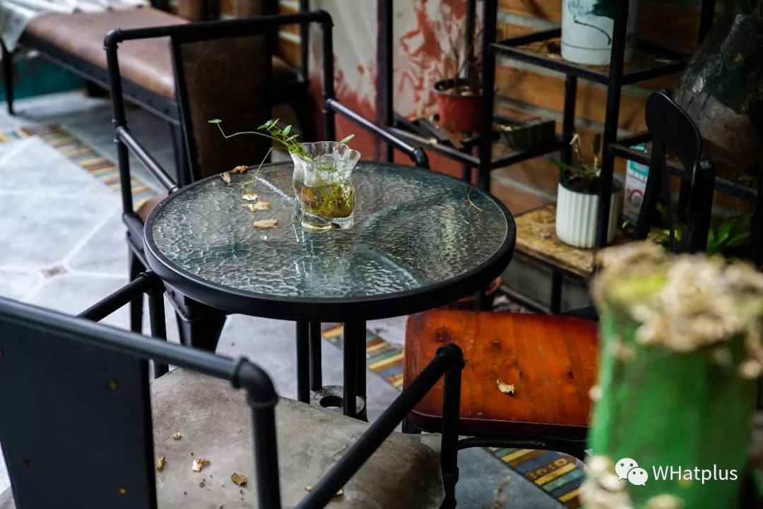 5家猫咖店200只猫，这对夫妻治愈无数武汉人