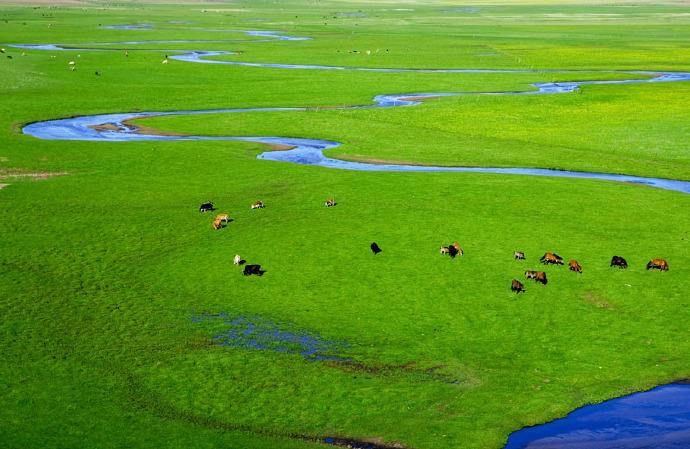 科尔沁传奇,科尔沁大草原的传奇