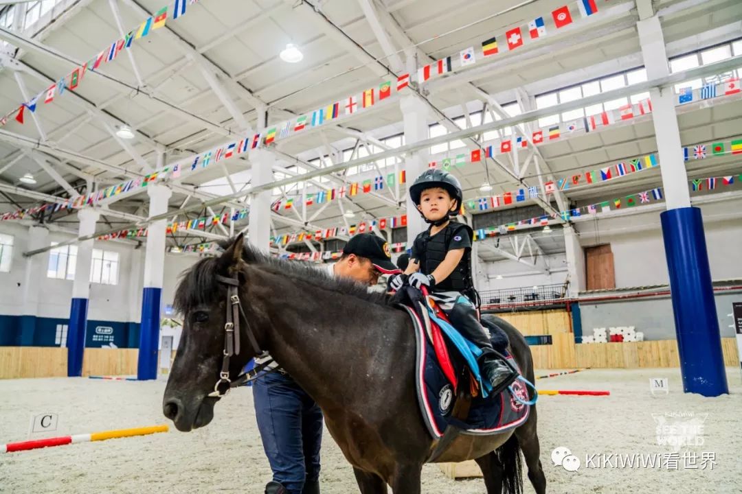 舟山威斯汀离普陀山远吗,舟山威斯汀对应的岛