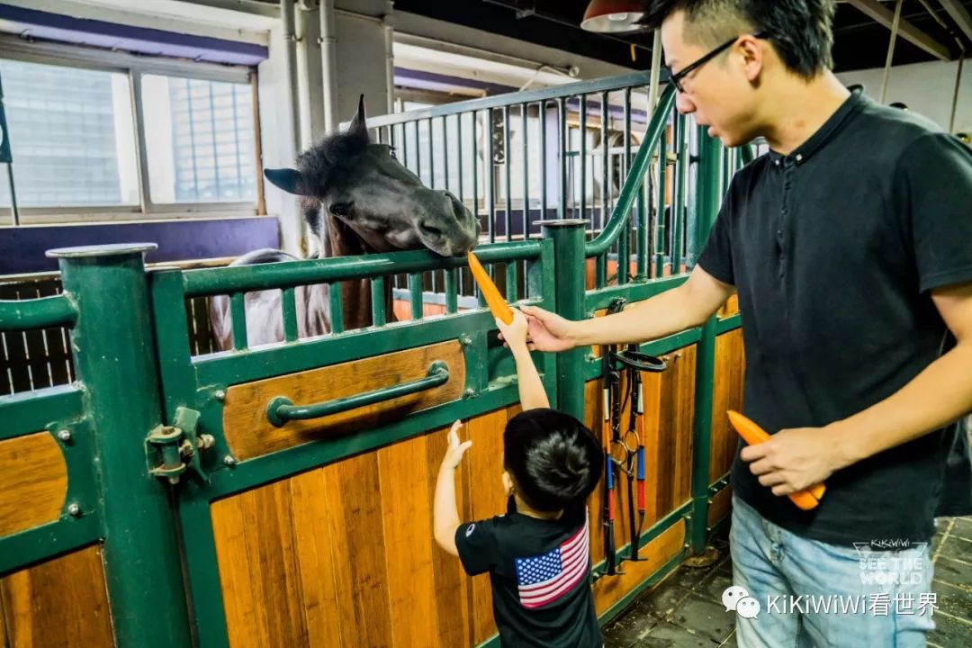 舟山威斯汀离普陀山远吗,舟山威斯汀对应的岛