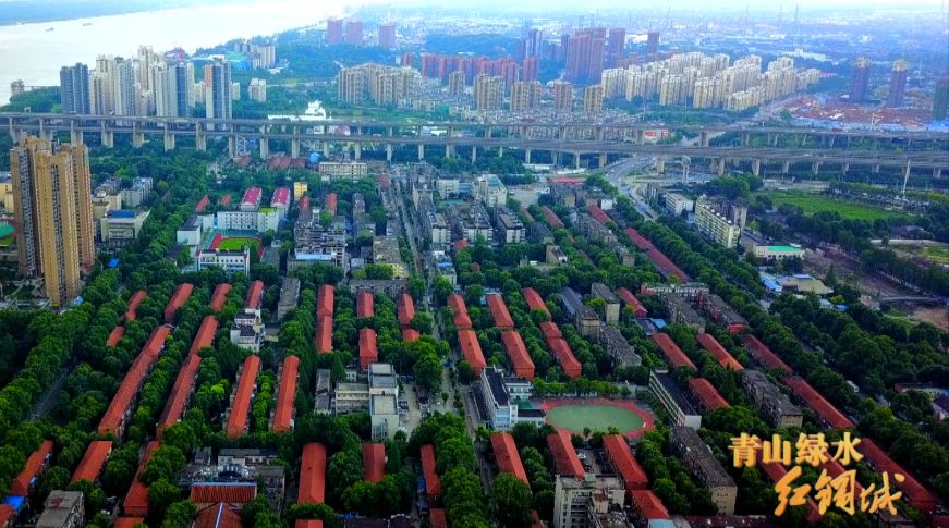 红绿蓝颜色寓意,红绿蓝的色相