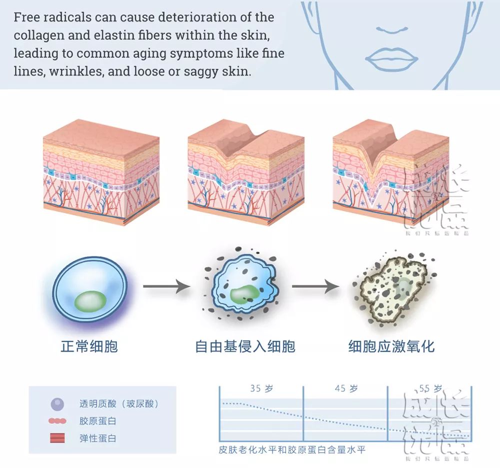 用它洗脸，脏东西自己浮出来，比做10次面膜还管用！丨开团