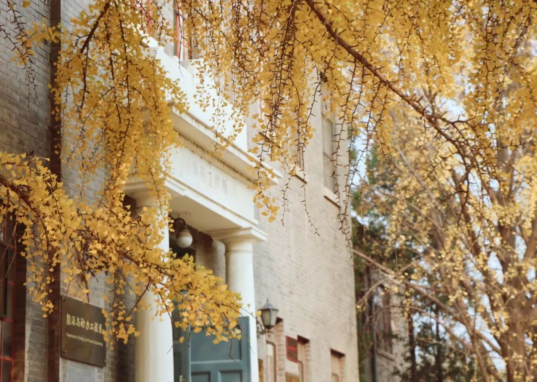从北京到俄罗斯全过程,北京到俄罗斯沿途风景视频