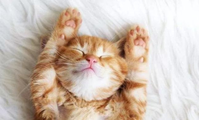 女生头发干枯脱发严重,脱发正在猛袭90后5招让头发变浓密