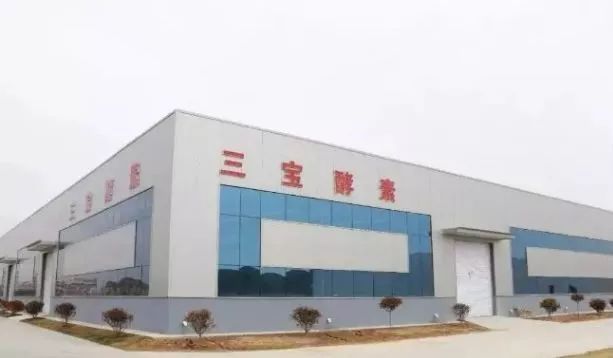 乳山白沙滩美丽乡村,怎么让村庄快速发展