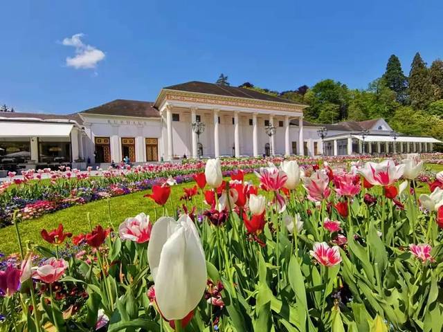 在德国自驾攻略,德国自驾攻略注意事项是什么