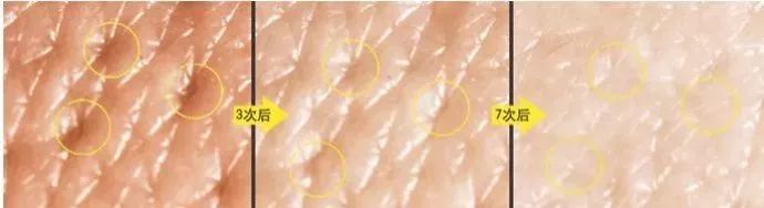 减肥真人秀画风跑偏变吃播？“太子妃”坚守底线不忘初心