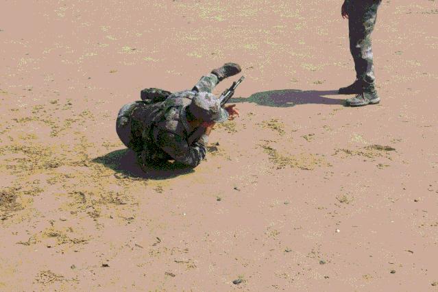 热点｜终于等到你，“海训十二时辰”上线了