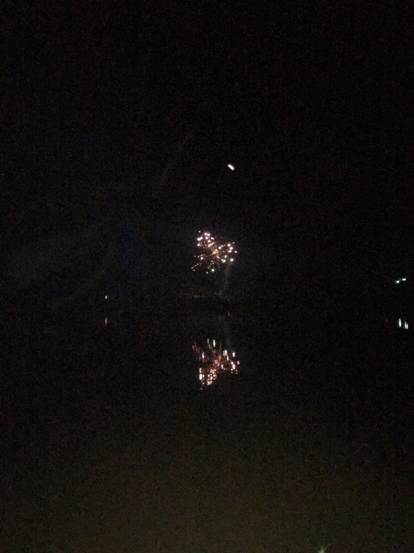 水库夜钓鲤鱼草鱼视频,水库夜钓大鲤鱼