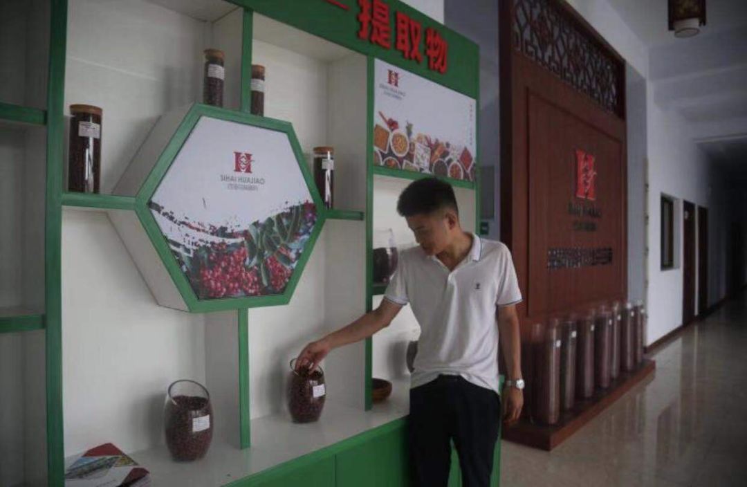 网络营销助力农产品,韩城花椒网络营销方案