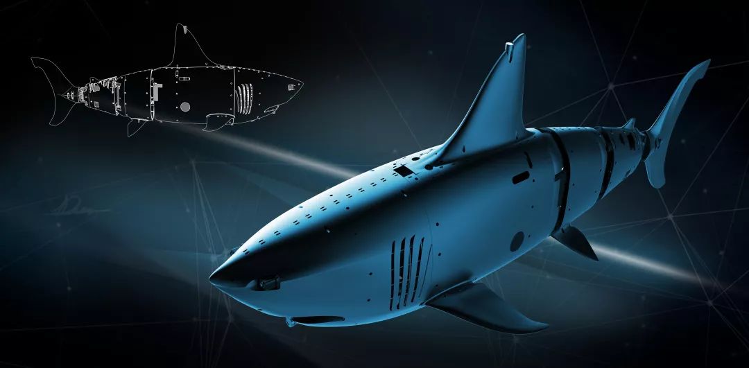 猪肉价格是不是要涨价了,猪肉价格全面上涨