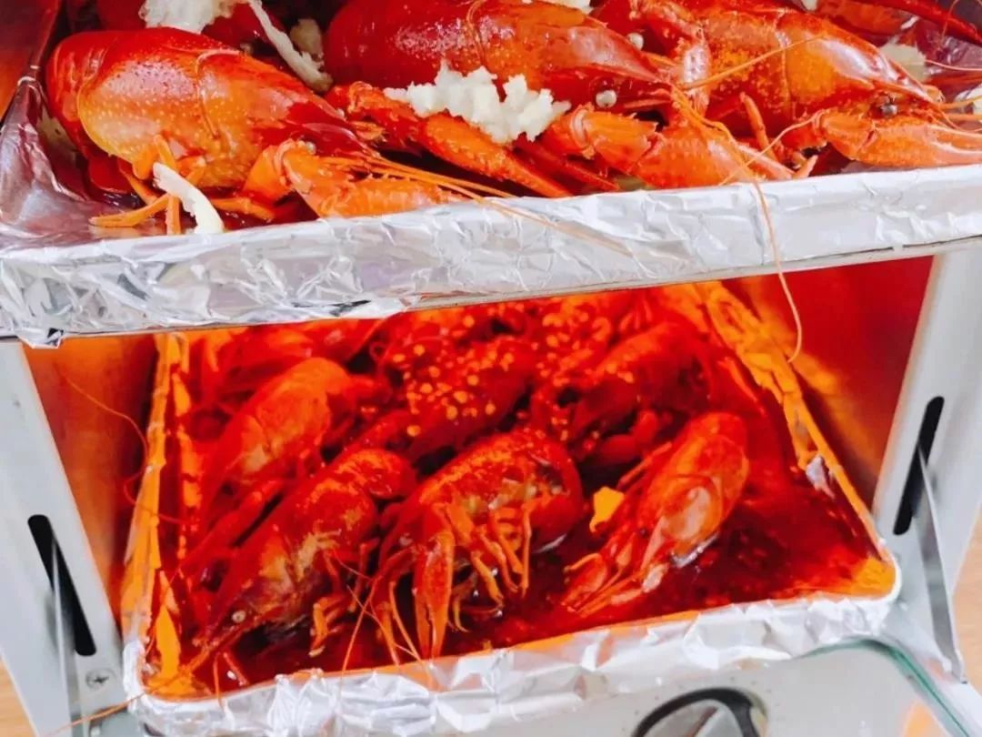 日本畅销烤箱,日本目前口碑最好的烤箱