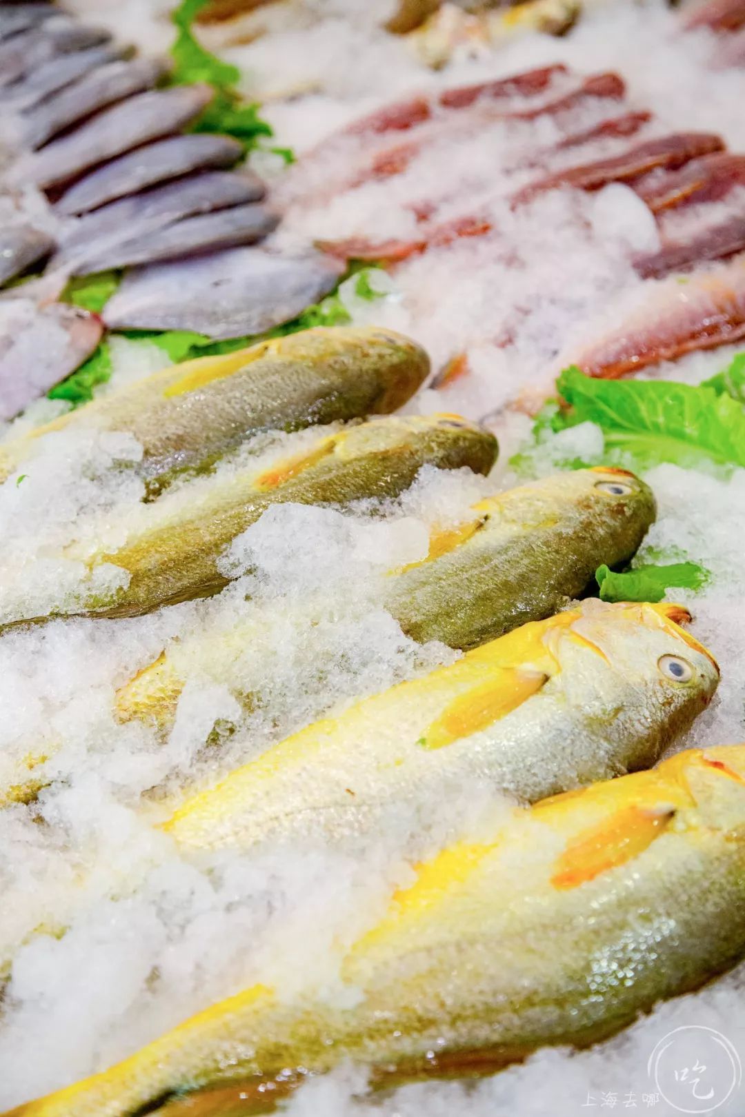 东海开渔第一网！20年本帮菜大佬开卖小海鲜，人均只要100+