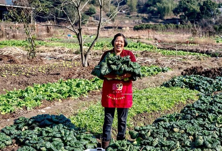 谁说江南无金秋？这座高铁直达的小县城靠一间仙气民宿，就撩到了无数隐居客