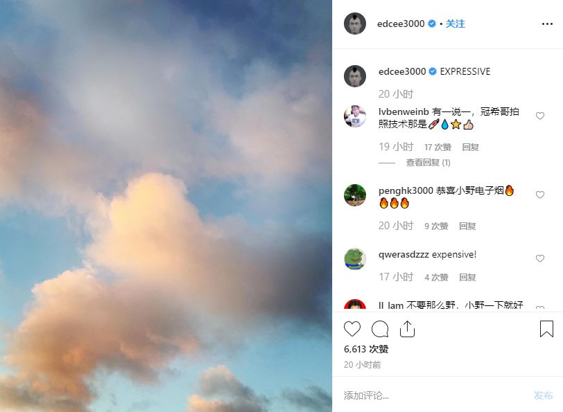 陈冠希被质疑,陈冠希被质疑视频